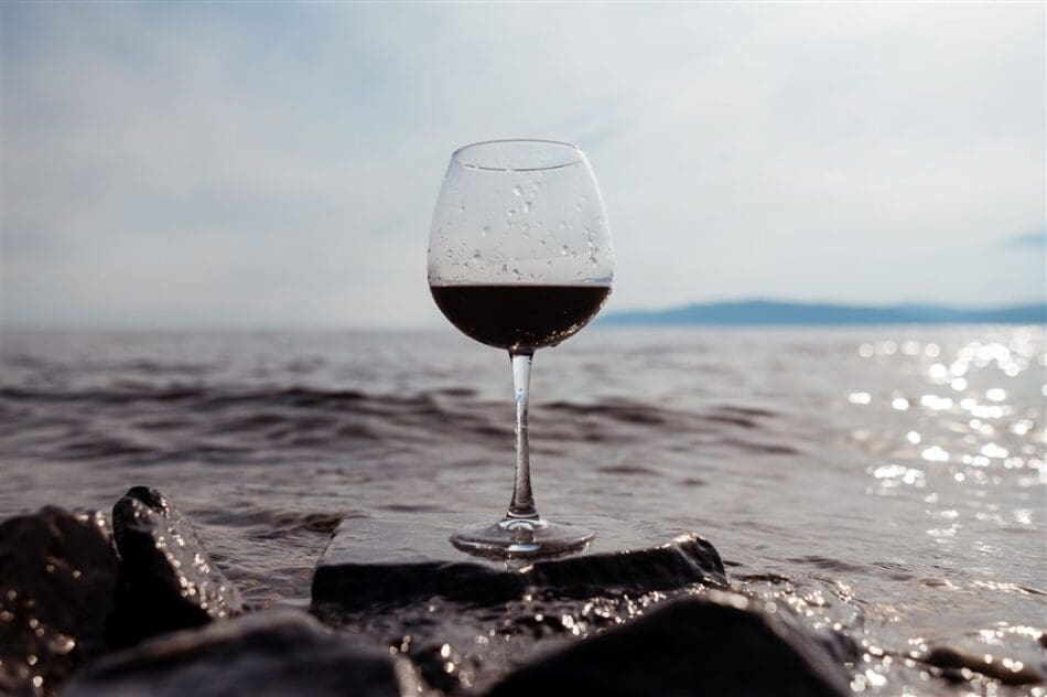 Tra Vigne e Ulivi: un viaggio nei sapori dell&rsquo;Abruzzo